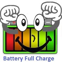 New Fully Charged Battery